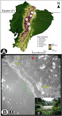 Long-Term Vegetation Dynamics in a Megadiverse Hotspot: The Ice-Age Record of a Pre-montane Forest of Central Ecuador